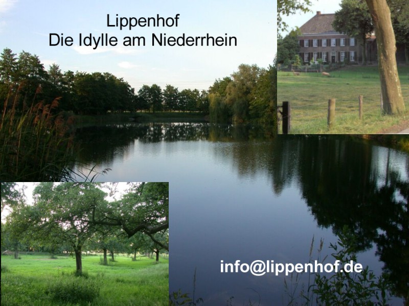 Ansichten vom Lippenhof